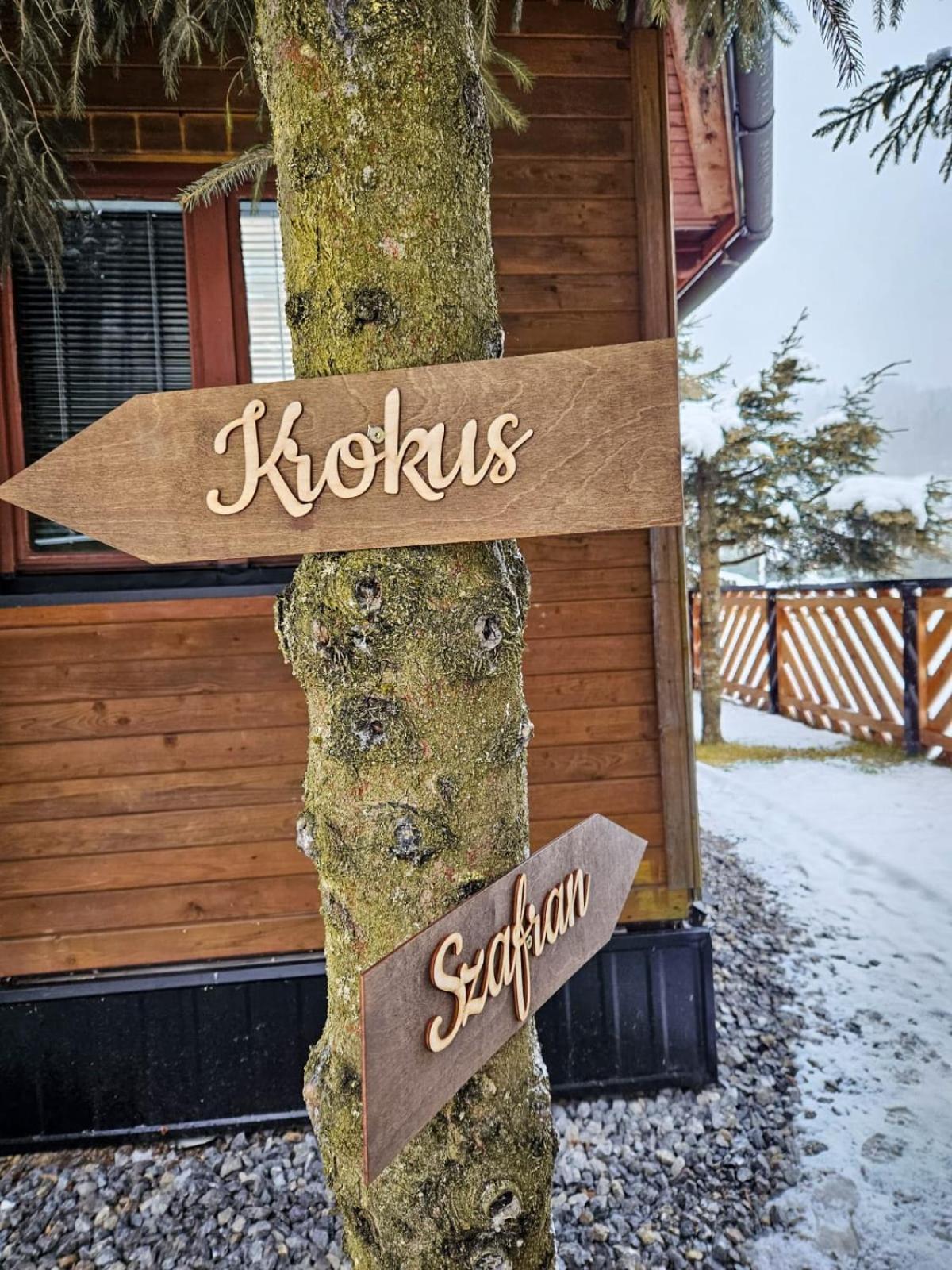 Domek Drewniany Krokus Witów Kültér fotó